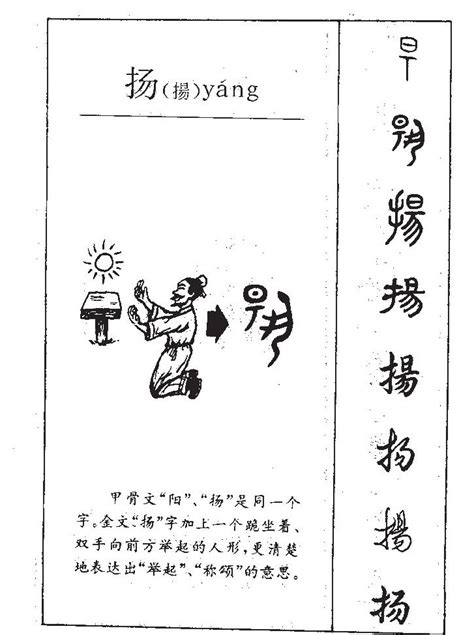 揚 五行|扬字五行属什么